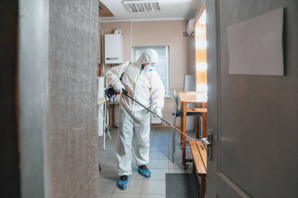 Best Post-Remediation Verification Testing  in Grosse Pointe, MI