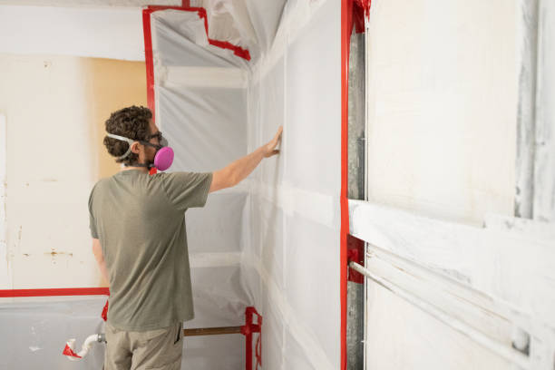 Best Crawl Space Mold Remediation  in Grosse Pointe, MI