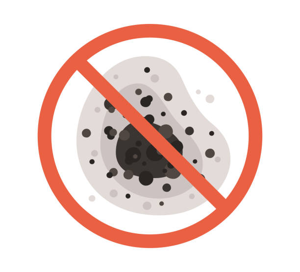 Forensic Mold Investigation in Grosse Pointe, MI