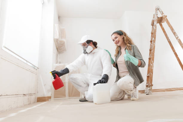 Best Attic Mold Removal  in Grosse Pointe, MI