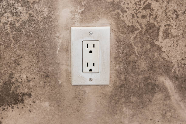 Best Asbestos and Lead Testing During Mold Inspection  in Grosse Pointe, MI